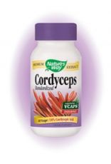 Cordyceps / Кордицепс Екстракт от гъба Природен антибиотик 60капс.